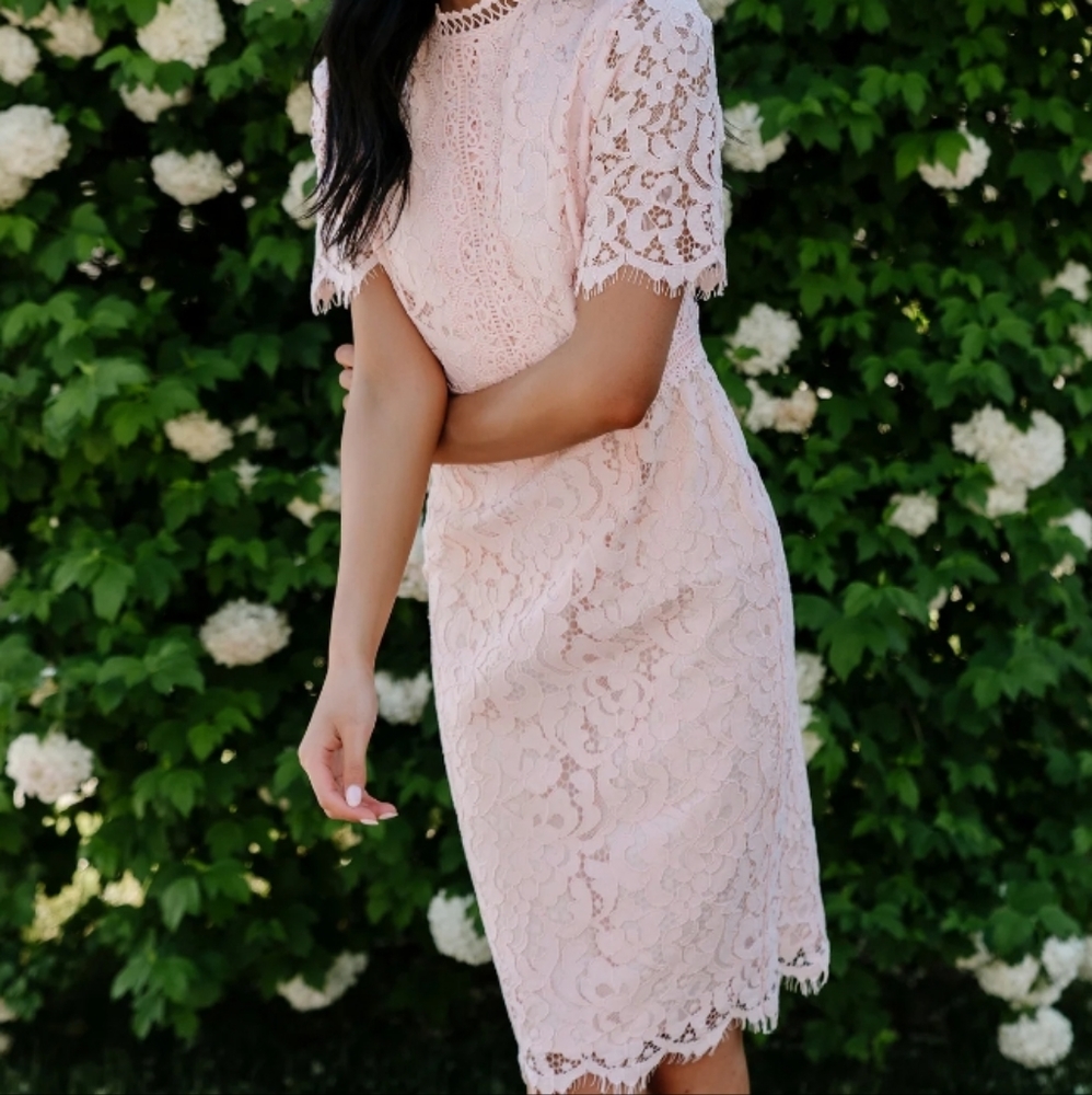 Rachel Parcell pink dress